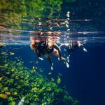 Tour Xenotes Advenure From Cancun & Playa del Carmen - Activities at Each Cenote