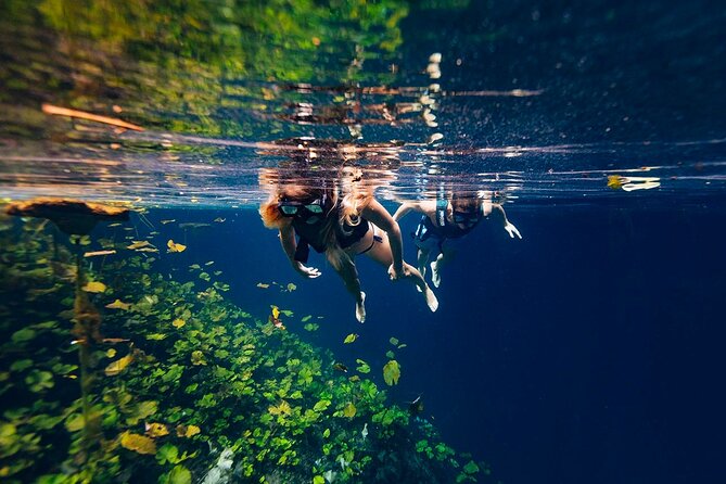 Tour Xenotes Advenure From Cancun & Playa del Carmen - Activities at Each Cenote