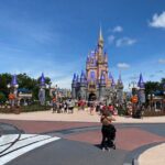 Transportation from Disney & Universal to Orlando Airport (MCO) - How the Airport Meet & Greet Works at Orlando International Airport