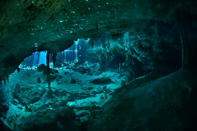 Tulum Cenote DOS OJOS Unforgettable Scuba Dive Tour - Starting Point and Transportation Convenience in Tulum