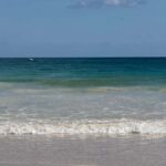 Tulum: Tulum Ruins and Sea Turtle Snorkeling Tour - Exploring the Tulum Archaeological Site