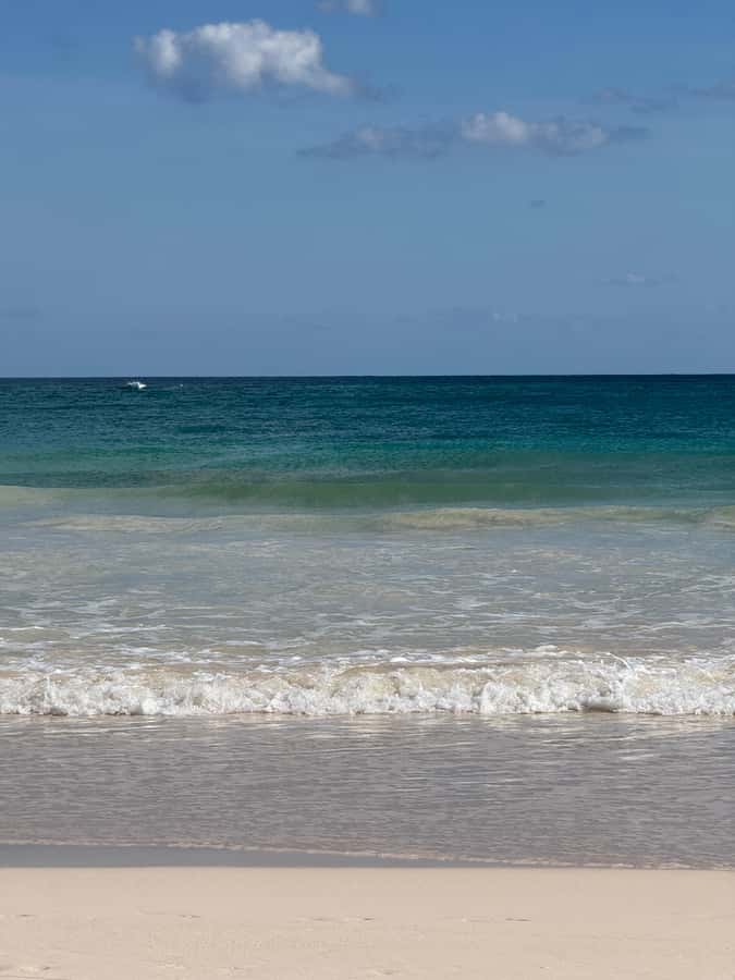 Tulum: Tulum Ruins and Sea Turtle Snorkeling Tour - Exploring the Tulum Archaeological Site