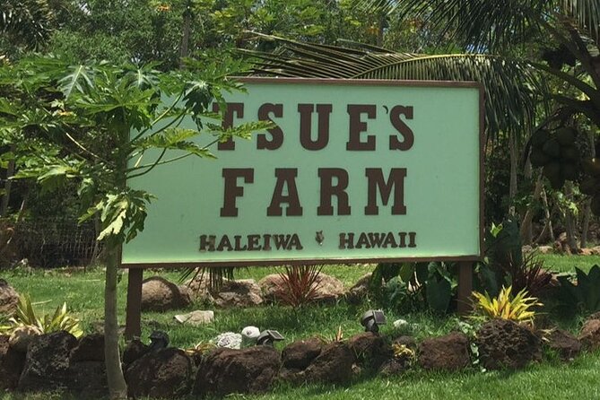 Ultimate North Shore Adventure: Full-Day Hawaiian Experience - Tasting Local Fruits at Kuilima Farm Stand