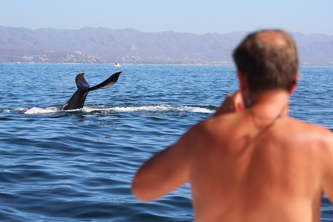 Ultimate Whale Watching Experience All-Inclusive - From the Marina to the Marietas Islands