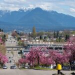 Vancouver City Private Walking Tour with Seal Boat Tour - Starting Point at Vancouver Maritime Museum Offers a Cultural Introduction