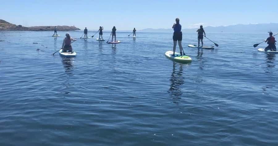 Vancouver Island: Marine Ecological Tour with Mer Tales - Meeting Point and Weather-Dependent Locations