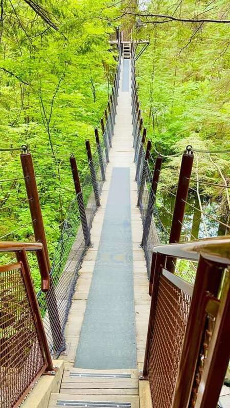 Vancouver: Private Tour City Sights, FlyOver & Capilano - FlyOver Canada: A Virtual Flight Across the Country