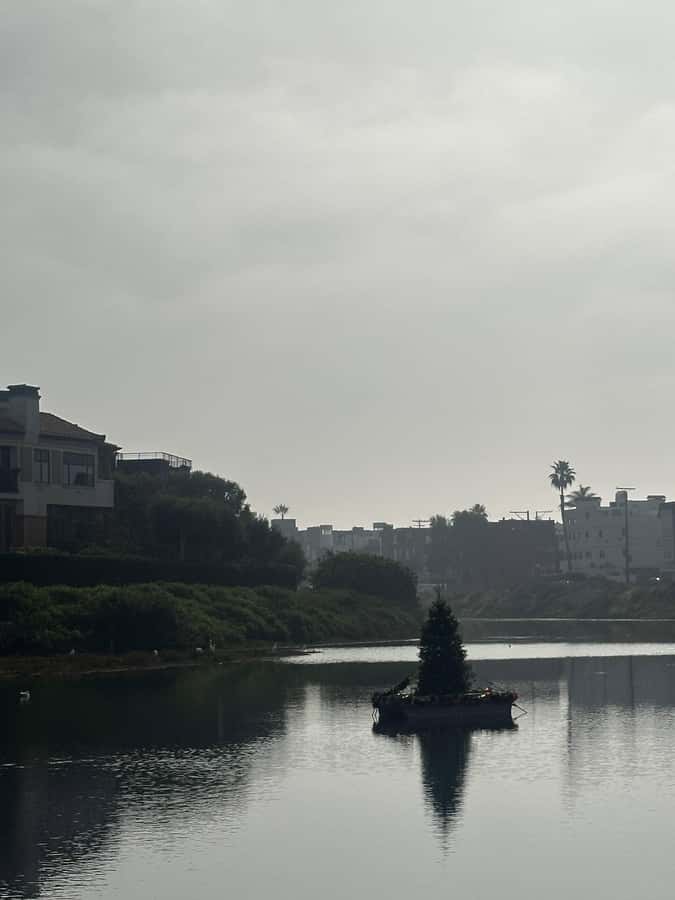Venice Beach: Guided Walking Tour of the Canals - Discovering the Venice Canals Walkway