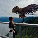 Victoria: Malahat Skywalk & Iconic Landmark Tour - Exploring Victoria’s Iconic Landmarks and Scenic Views