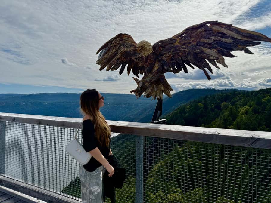 Victoria: Malahat Skywalk & Iconic Landmark Tour - Exploring Victoria’s Iconic Landmarks and Scenic Views