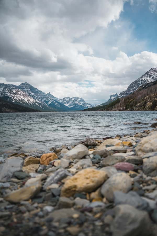 Waterton National Park Adventure Day Tour from Calgary - Starting Point at Calgary’s Delta Hotel for Easy Access