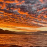 Whale Watch and Scenic Tour from Kayak - Exploring Maui’s Coast in Pedal-Drive Hobie Kayaks