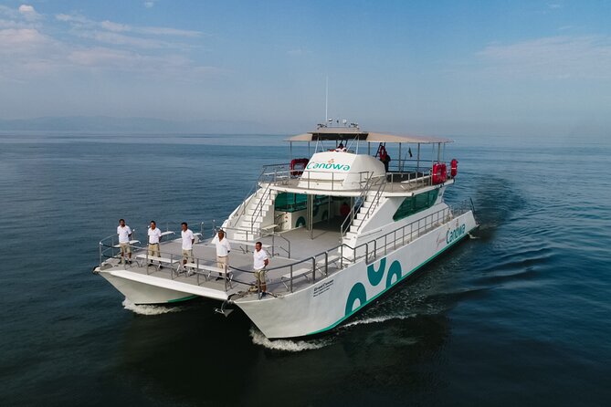 Whale Watching Adventure In Puerto Vallarta - The 4-Hour Itinerary and What to Expect on the Water