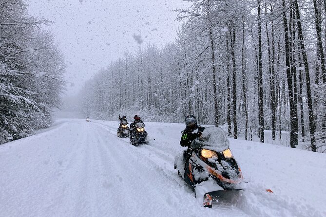 Winter Stay and Play Adventure in Seward Alaska - Exit Glacier: A Majestic Icy Landmark