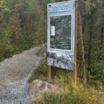 Yellowknife Cameron Waterfalls Nature Hiking - Hiking Through Boreal Forest to Cameron Falls