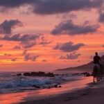 Zihuatanejo: Troncones,Manzanillo Bayband Majahua Beach Tour - Scenic Beaches of Troncones and Majahua