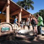 Ziplines and mezcal tasting - Visiting the Los Osuna Tequila Distillery for Mezcal Tasting